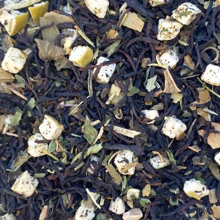 The Focused Mind Close Up